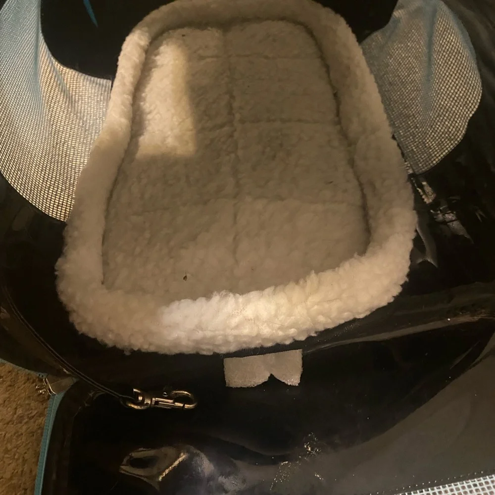 Tote Bag for small dogs or cats